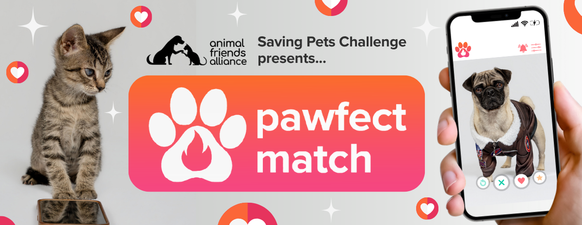 Saving Pets Challenge: Pawfect Match